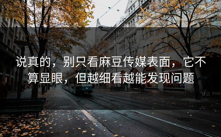 说真的，别只看麻豆传媒表面，它不算显眼，但越细看越能发现问题  第1张