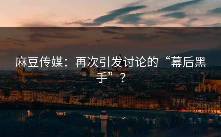 麻豆传媒：再次引发讨论的“幕后黑手”？  第1张