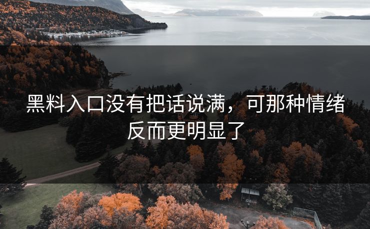 黑料入口没有把话说满,可那种情绪反而更明显了 第1张 黑料入口没有把话说满,可那种情绪反而更明显了 第1张