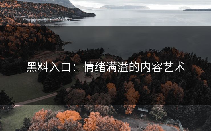 黑料入口:情绪满溢的内容艺术 第1张 黑料入口:情绪满溢的内容艺术 第1张