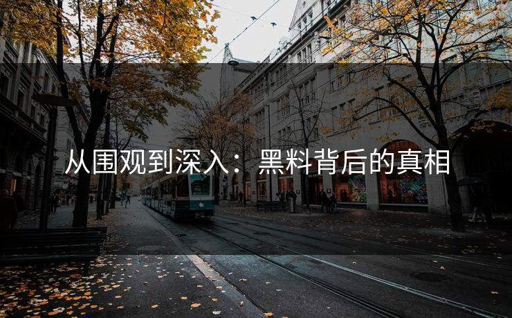 从围观到深入：黑料背后的真相  第1张