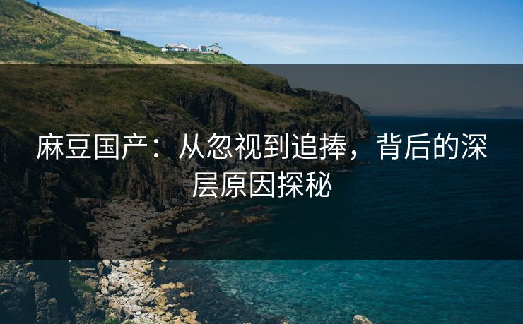 麻豆国产:从忽视到追捧,背后的深层原因探秘 第1张 麻豆国产:从忽视到追捧,背后的深层原因探秘 第1张