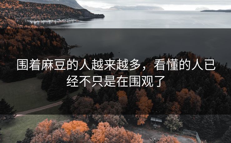 围着麻豆的人越来越多,看懂的人已经不只是在围观了 第1张 围着麻豆的人越来越多,看懂的人已经不只是在围观了 第1张